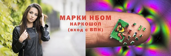 гидра Алексеевка