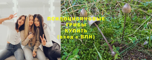 apvp Алзамай