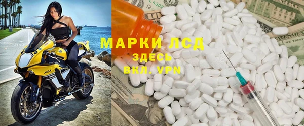 apvp Алзамай