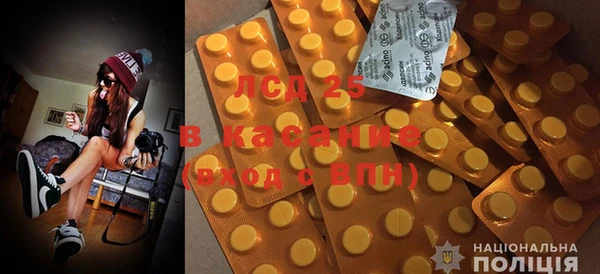 СК Сафоново