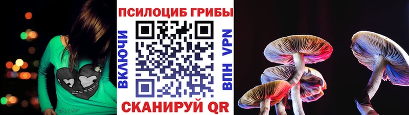 Псилоцибиновые грибы Cubensis  Харовск 